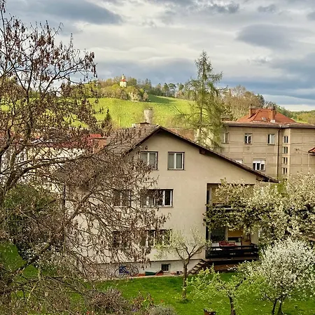 Colorful In * Maribor